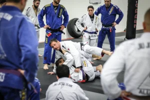 Breaking Down the Top Jiu Jitsu Training Trends